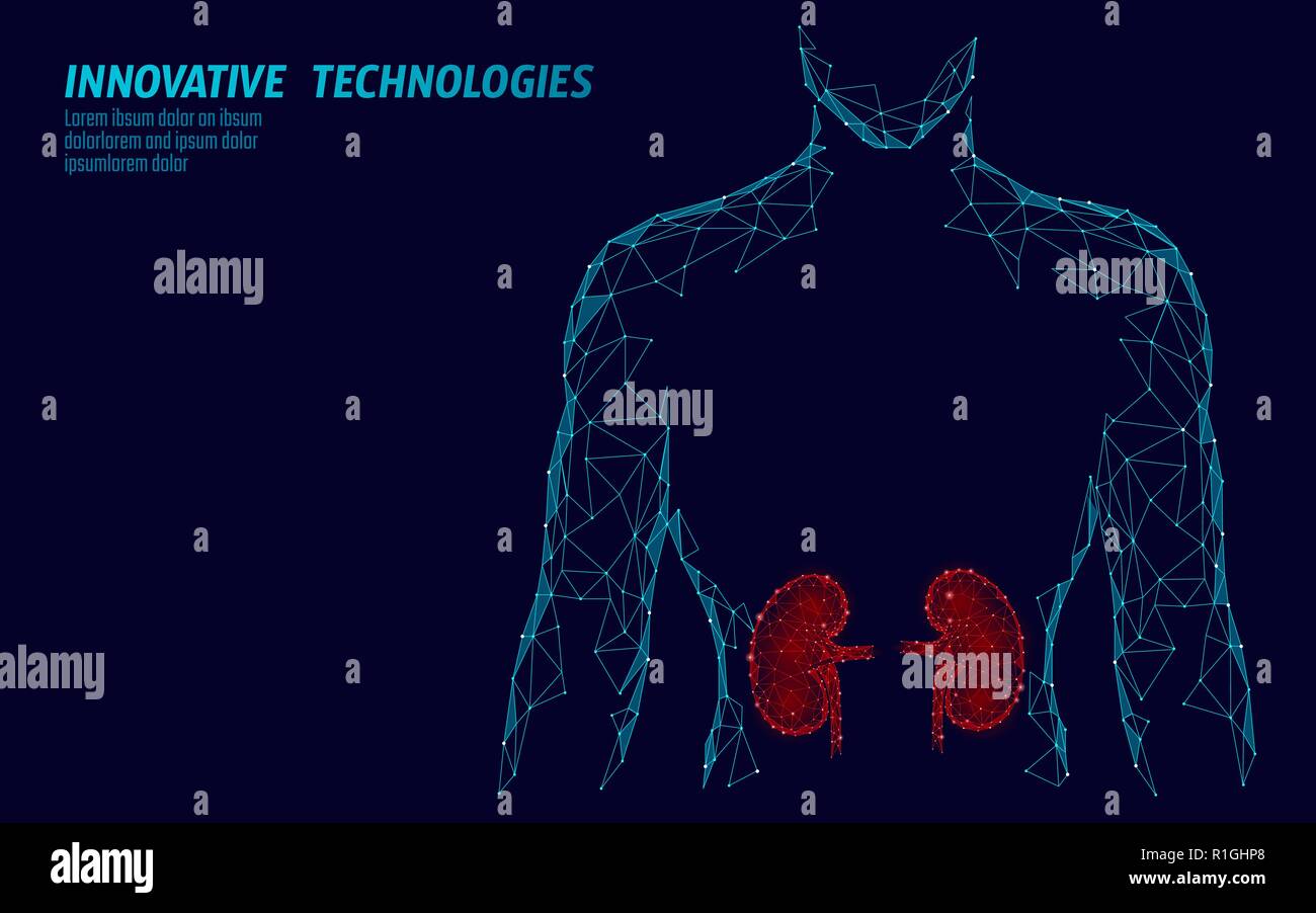 I reni organo interno uomini silhouette 3d bassa poli modello geometrico. Urologia medicina del sistema di trattamento. In futuro la tecnologia scienza geometrica poligonale wire mesh illustrazione vettoriale Illustrazione Vettoriale