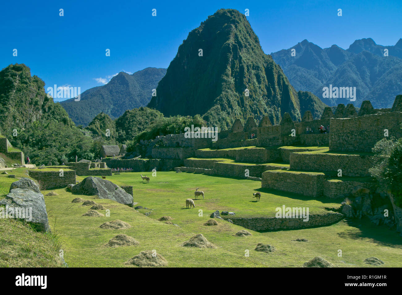 Machu Picchu, una cittadella Inca è impostata su un livello elevato nella catena delle Ande, Perù, sopra il fiume Urubamba valley. Costruito nel XV secolo e successivamente abandonded Foto Stock