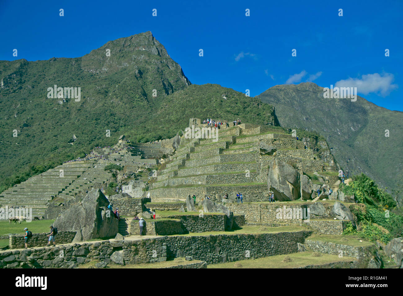 Machu Picchu, una cittadella Inca è impostata su un livello elevato nella catena delle Ande, Perù, sopra il fiume Urubamba valley. Costruito nel XV secolo e successivamente abandonded Foto Stock