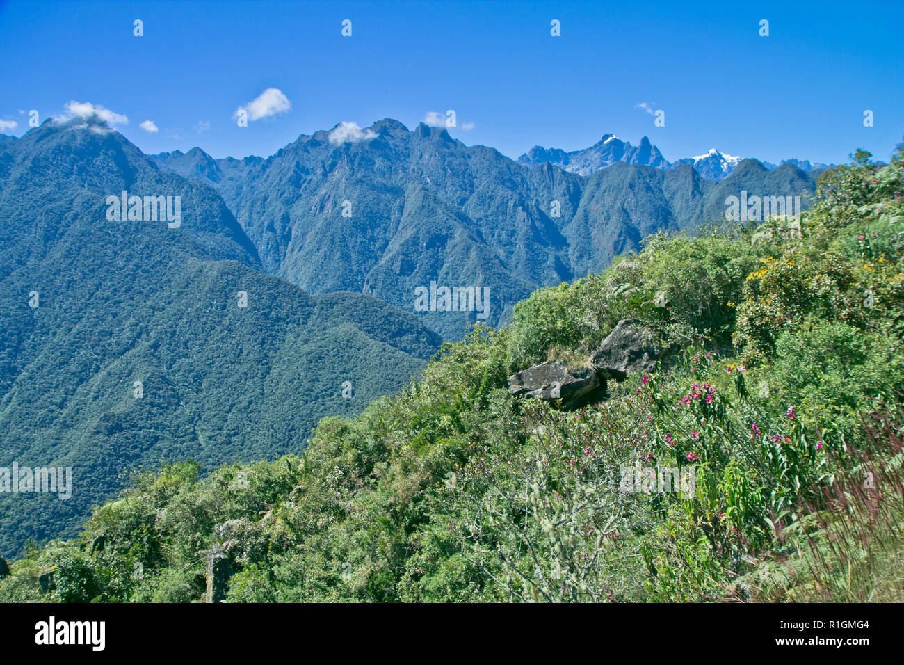 Machu Picchu, una cittadella Inca è impostata su un livello elevato nella catena delle Ande, Perù, sopra il fiume Urubamba valley. Costruito nel XV secolo e successivamente abandonded Foto Stock