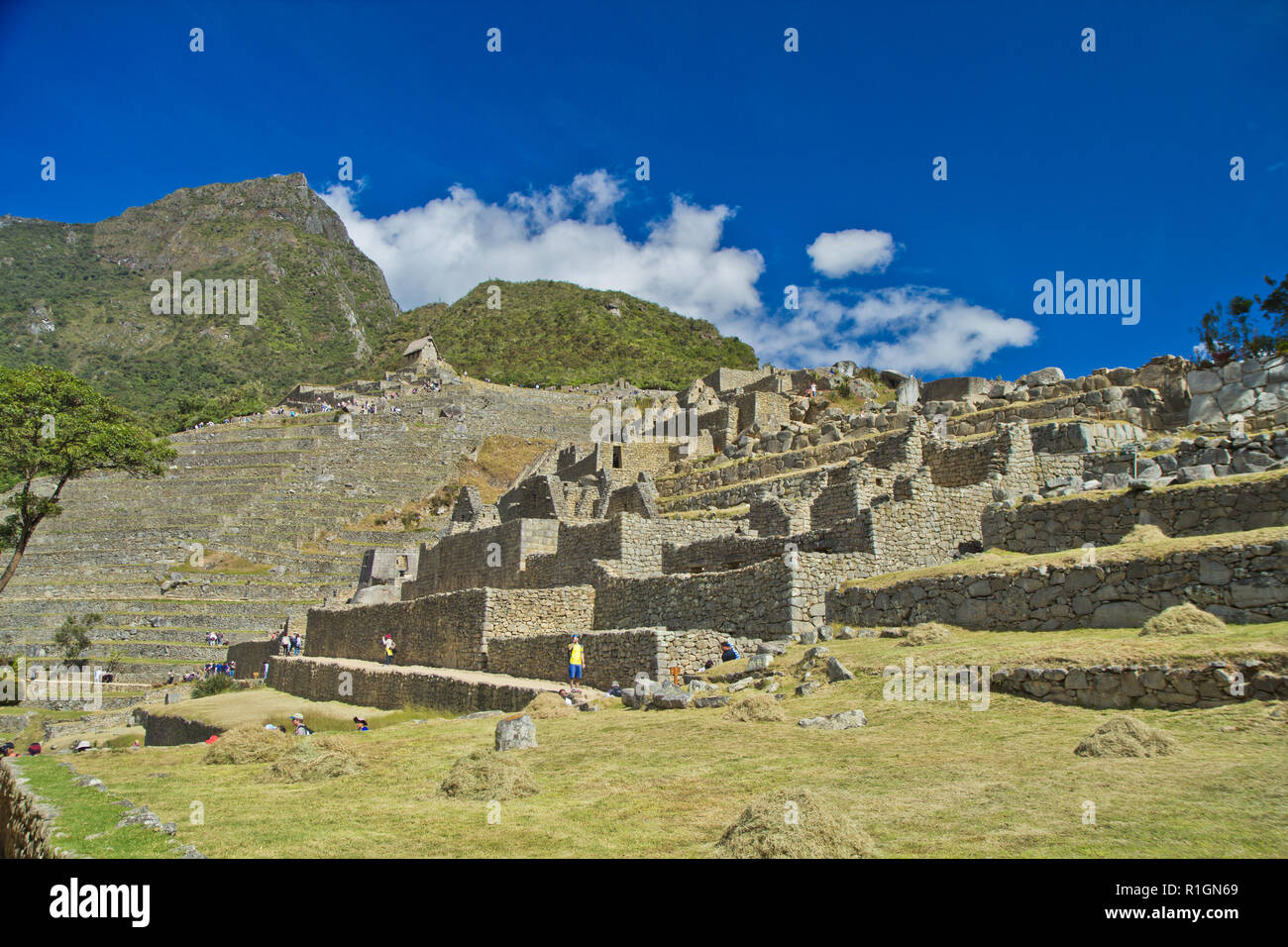 Machu Picchu, una cittadella Inca è impostata su un livello elevato nella catena delle Ande, Perù, sopra il fiume Urubamba valley. Costruito nel XV secolo e successivamente abandonded Foto Stock