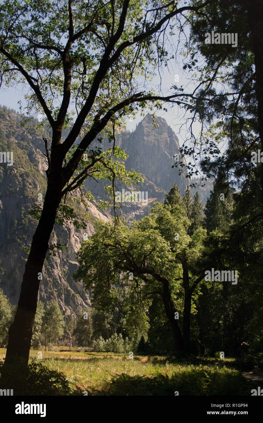 Vista dalla valle di Yosemite verso Sentinel Rock, del Parco Nazionale Yosemite in California Foto Stock