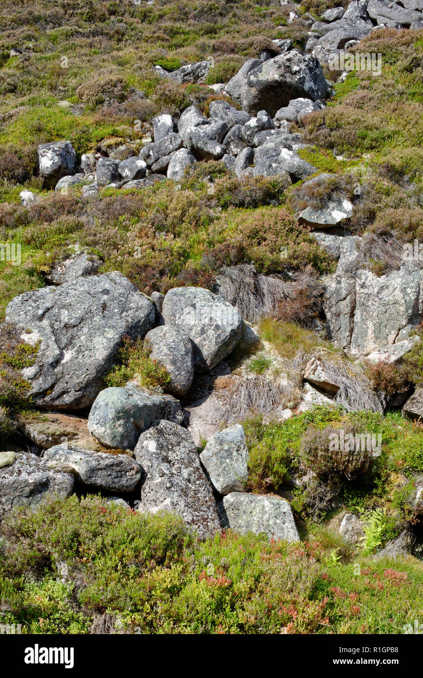 Massi di granito in Chalamain Gap, Cairngorm Mountains, Highland Scozia Scotland Foto Stock