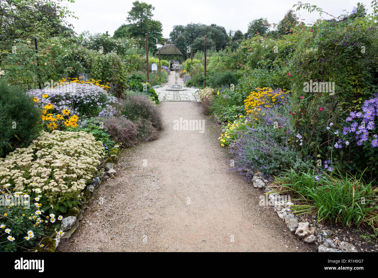 Un sentiero conduce tra fiori colorati delle frontiere nell'orto a West Dean. Foto Stock