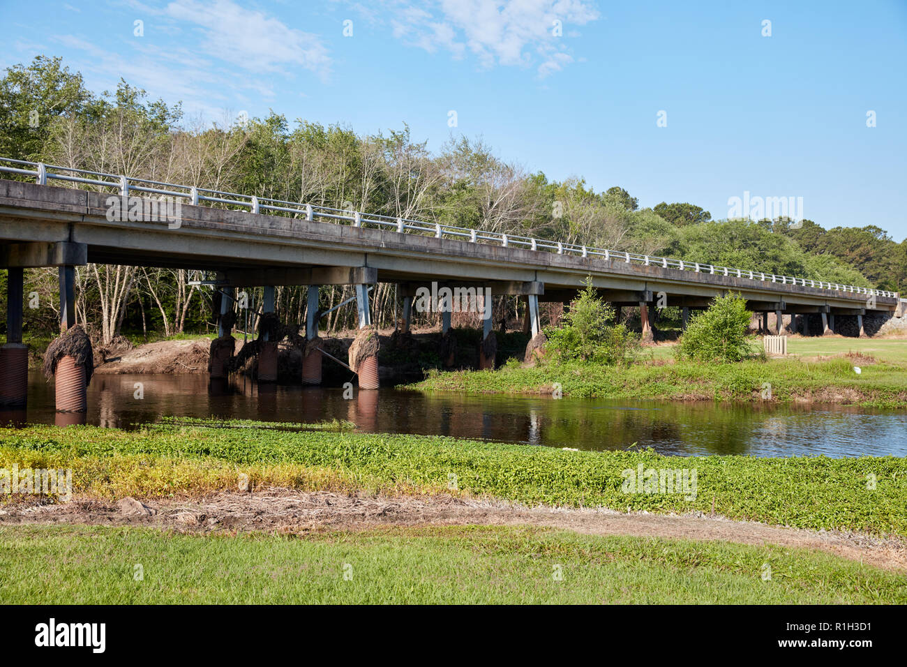 Ponte sul fiume Po in Reed Bingham State Park, Adel, Georgia Foto Stock