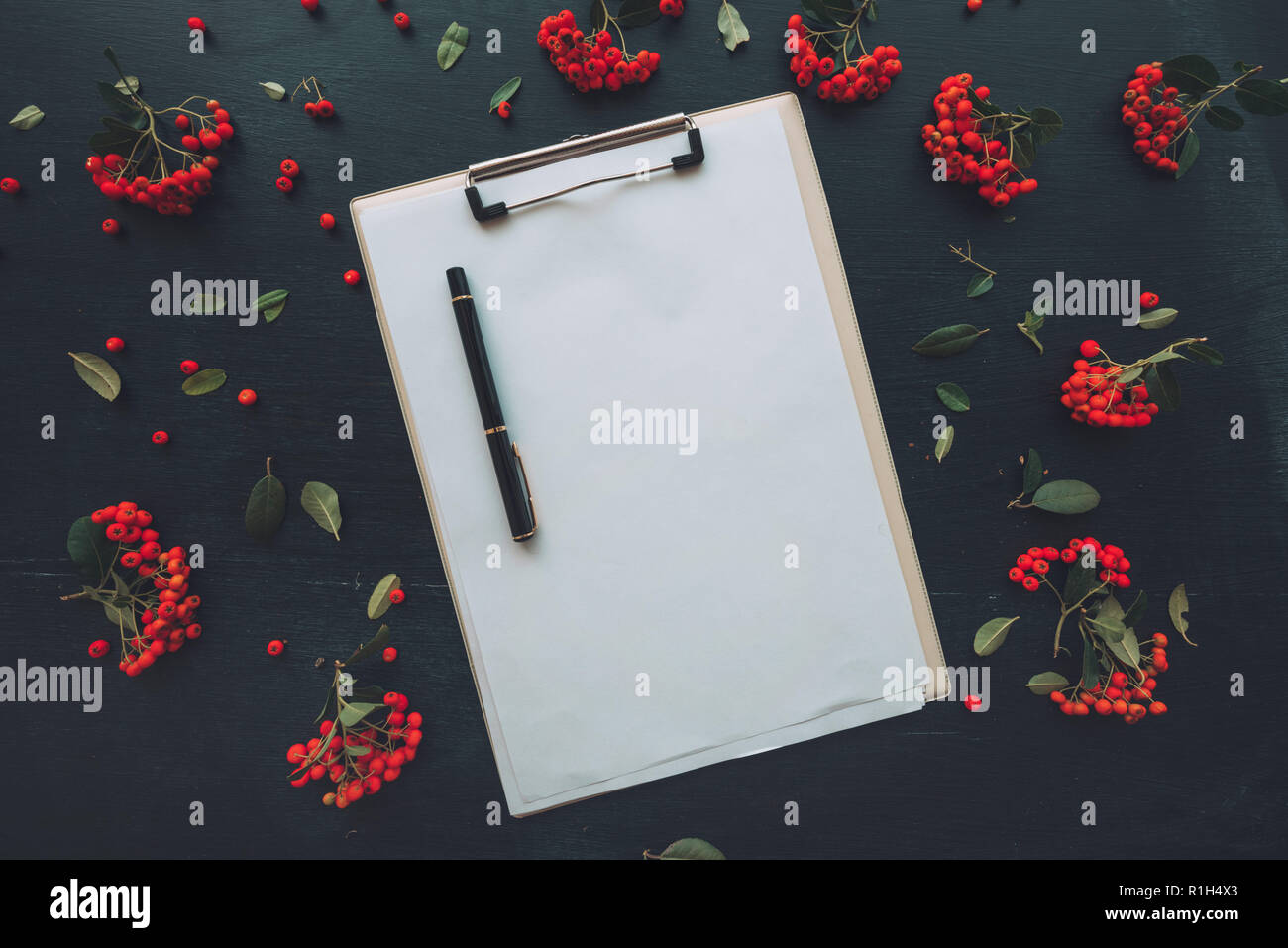 Piatto di laici appunti notepad blank mockup carta visto dal di sopra su sfondo scuro decorata con frutti di bosco la disposizione di frutta Foto Stock