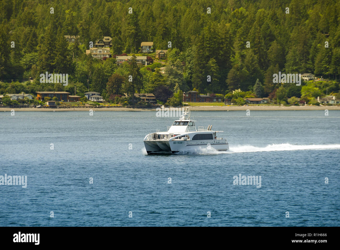 SEATTLE, NELLO STATO DI WASHINGTON, STATI UNITI D'AMERICA - Giugno 2018: alta velocità per i passeggeri dei traghetti nel porto di attraversamento della Baia di Elliott a Seattle. Foto Stock