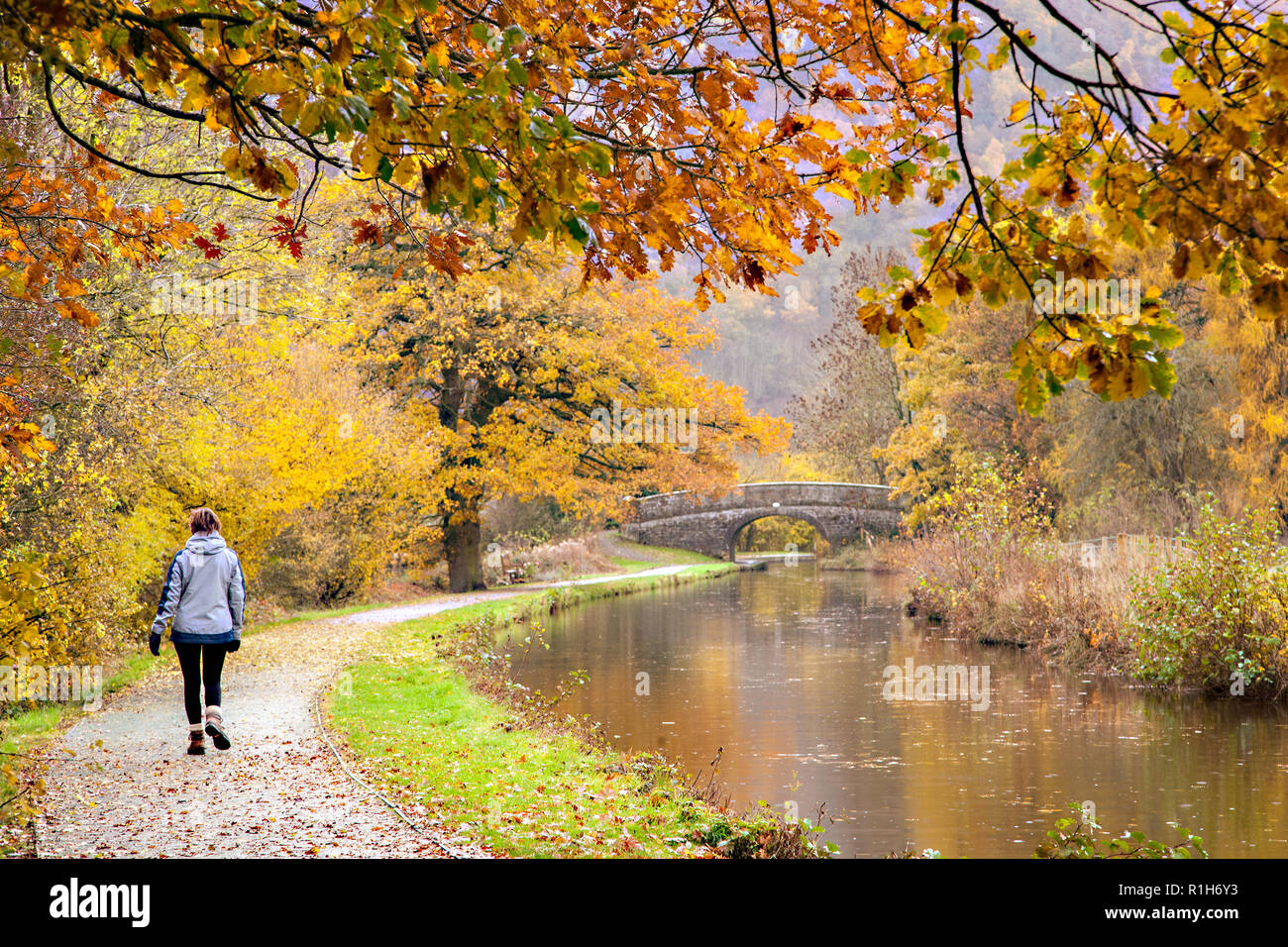 La gente camminare godendo la fresca aria lungo il ramo di Llangollen del Shropshire union canal con colori autunnali tra gli alberi lungo la strada alzaia Foto Stock