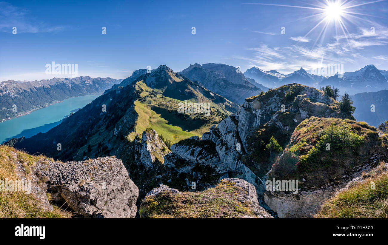 Il lago di Brienz, vista da Oberberghorn, Schynige Platte, Alpi Bernesi, Svizzera Foto Stock