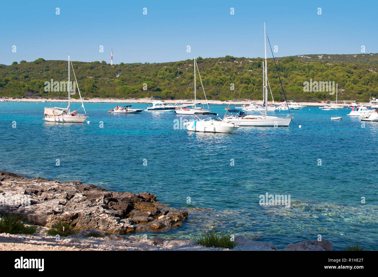 Trasparente blu azzurro acqua della laguna, molti yacht e colline coperte di verde foresta vicino la spiaggia rocciosa. Di Dugi Otok, Croazia, estate Foto Stock