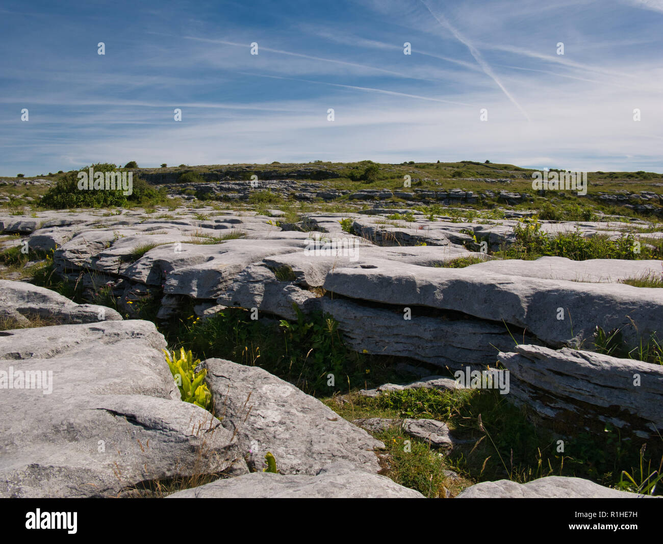 Il paesaggio roccioso in Irlanda vicino Poulnabrone in bel tempo Foto Stock