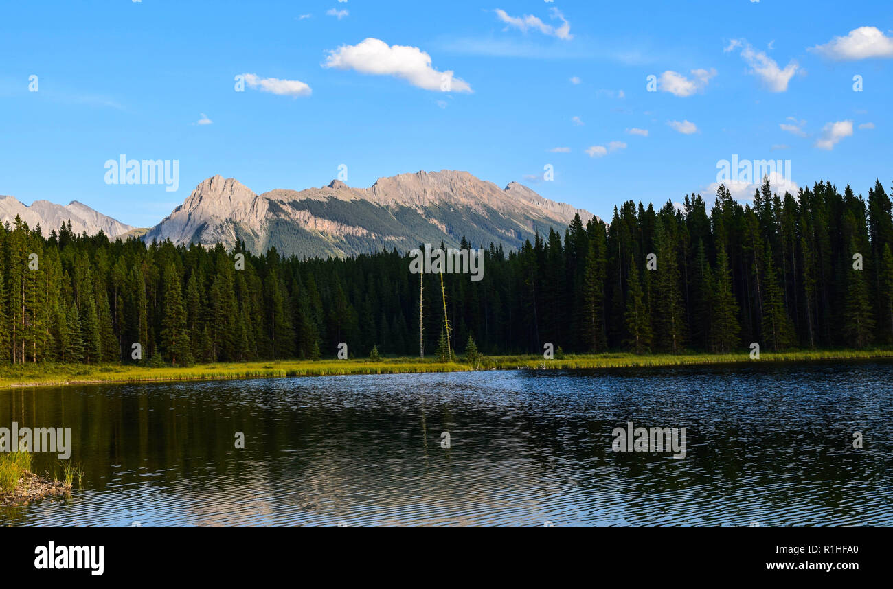 Picchi, valli, prati e altri paesaggi nelle montagne rocciose del Canada Foto Stock