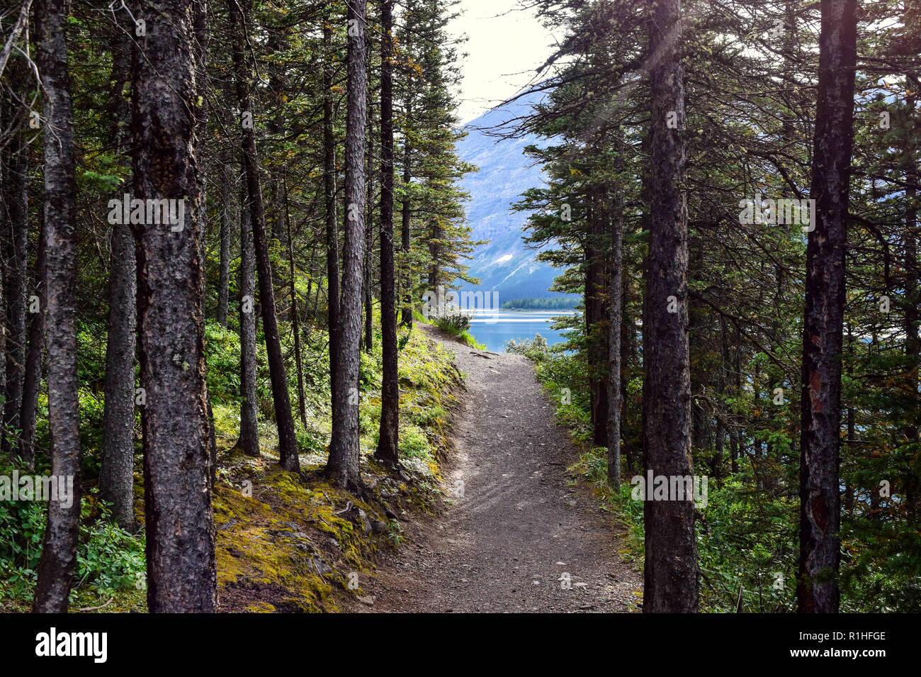 Picchi, valli, prati e altri paesaggi nelle montagne rocciose del Canada Foto Stock