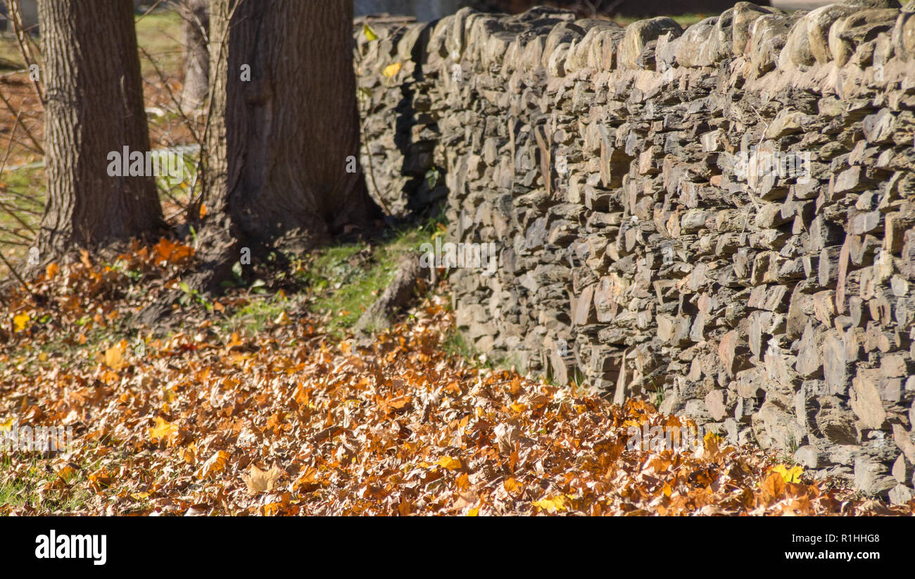 Vecchio muro di pietra in autunno. Foto Stock