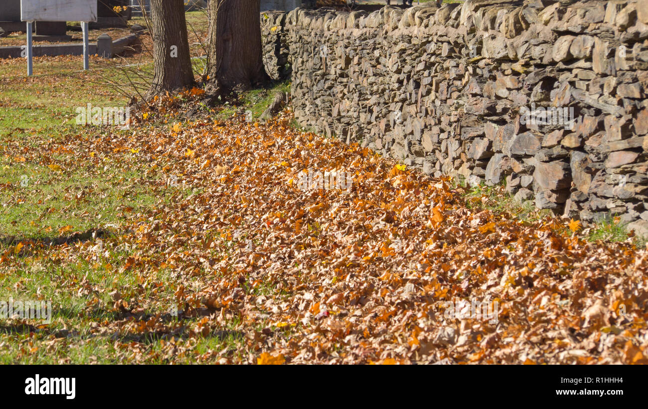 Vecchio muro di pietra in autunno. Foto Stock