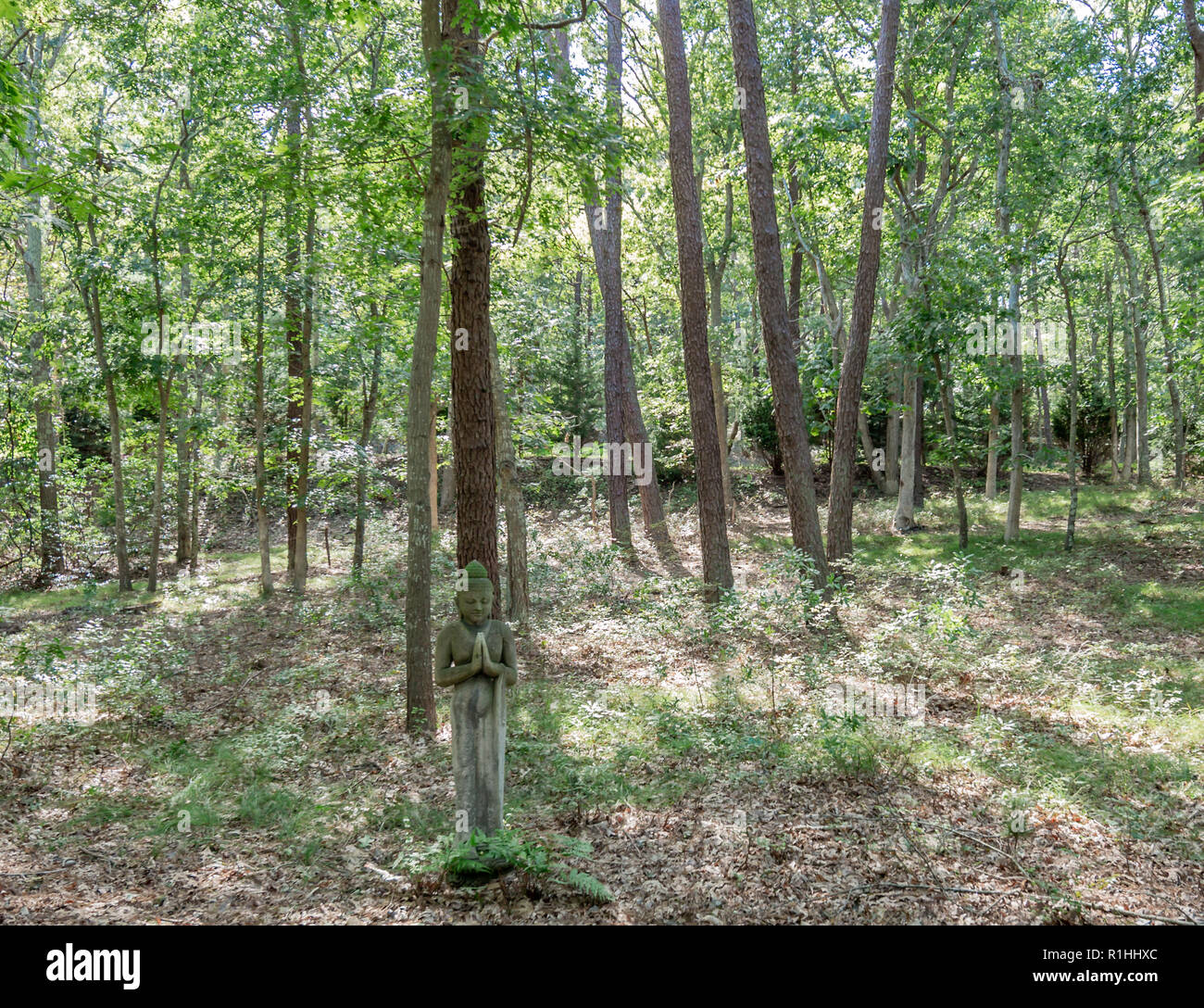 Weathered statua di Budda scultura in una zona di legno Foto Stock