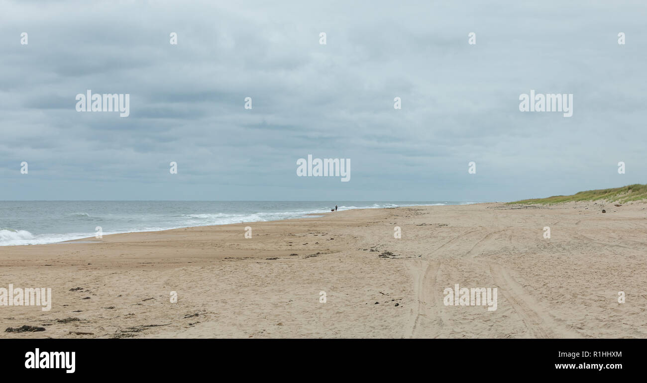 Persona a piedi un cane su un vuoto Indian Wells Beach in Eastern Long Island, NY Foto Stock