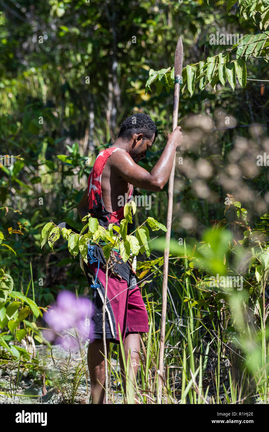 Un nativo di Papua cacciatore con la sua lancia in mano nella foresta. Isola di Waigeo Raja Ampat, Indonesia Foto Stock