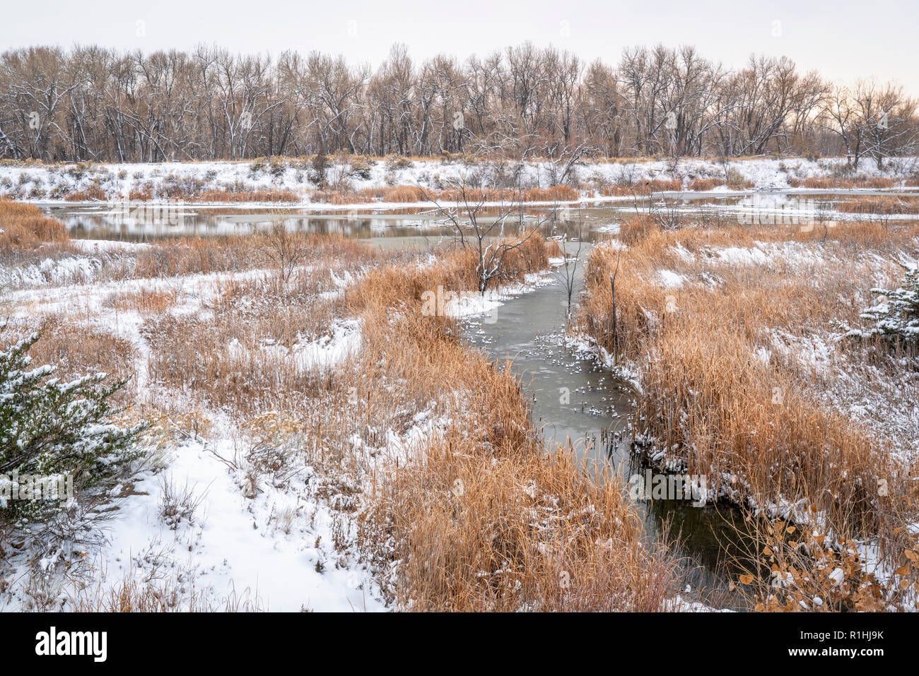 La caduta o il paesaggio invernale in una delle aree naturali in Fort Collins, Colorado lungo il fiume Poudre convertita dalla cava di ghiaia Foto Stock