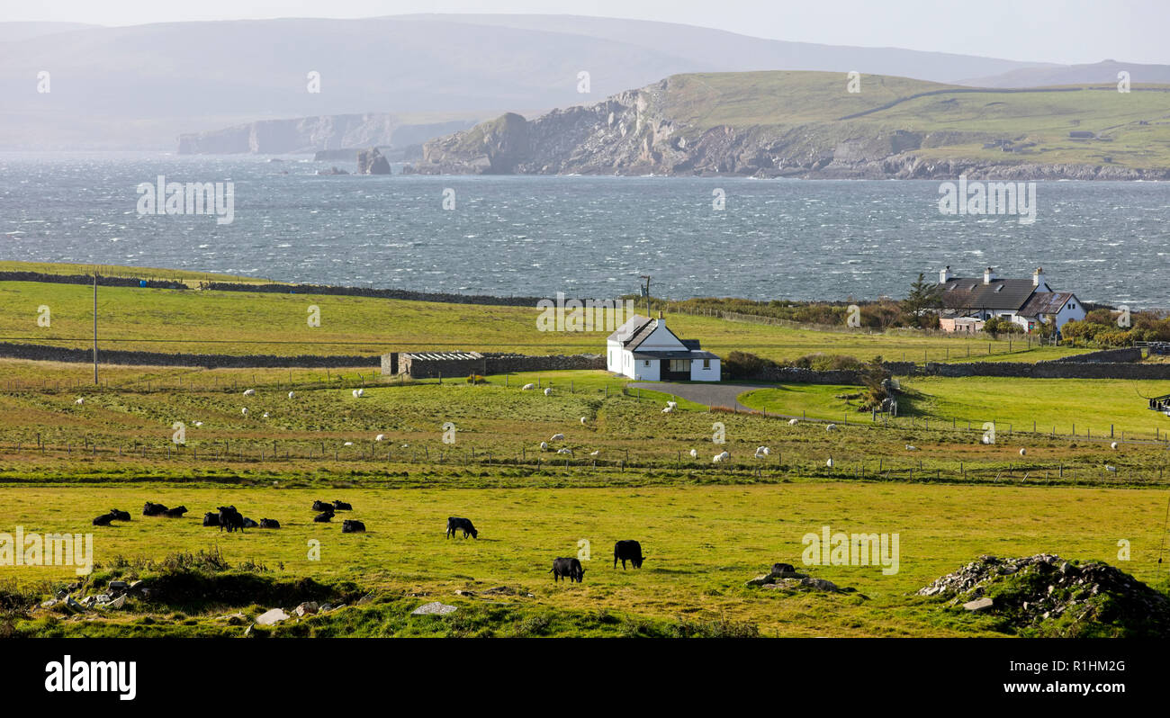 Una vista attraverso i terreni agricoli su Bressay in terraferma, Shetland, Scotland, Regno Unito. Foto Stock