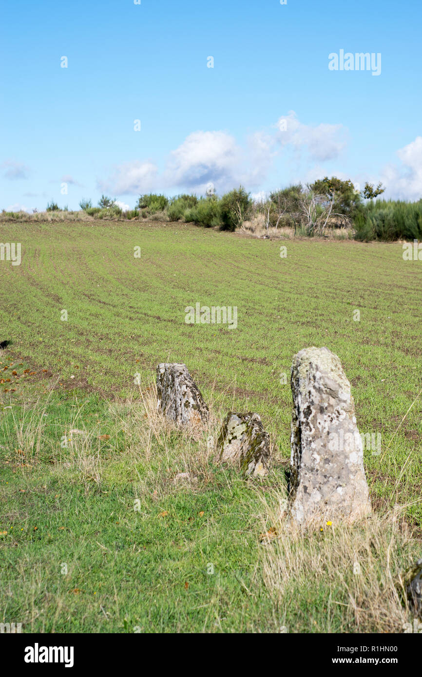 Vecchia roccia confini Foto Stock