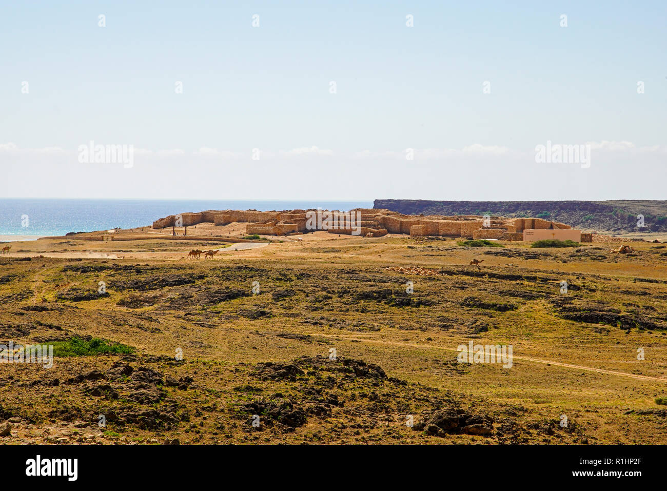 Vista di Sumhuram (la piccola città fortificata), un sud Arabian sito archeologico vicino a Taqah. La regione di Dhofar di Oman. Foto Stock