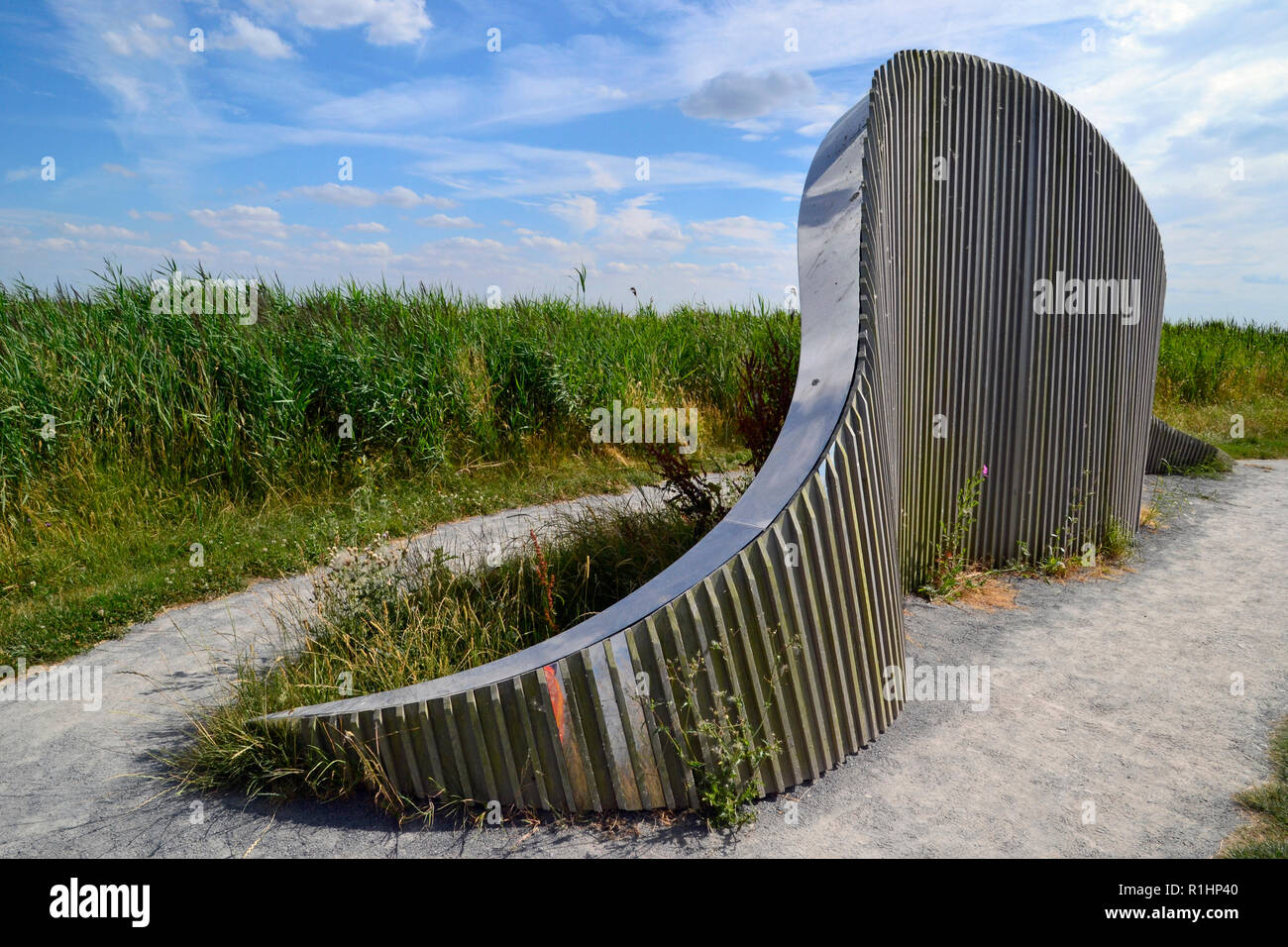 Scultura specchio riflettore "', a RSPB Frampton Marsh Riserva Naturale, Lincolnshire, Inghilterra, Regno Unito. Illustrazione Foto Stock