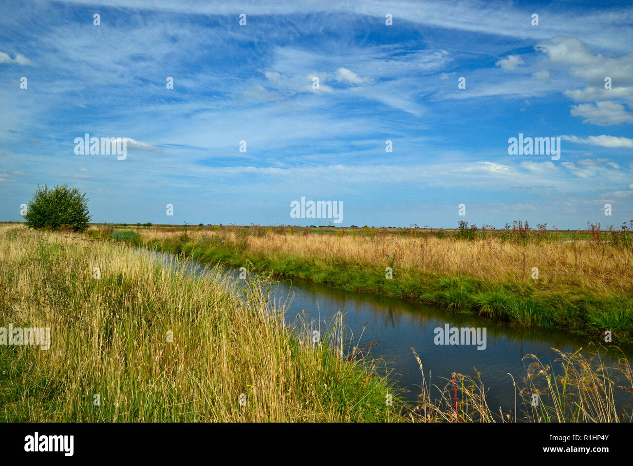 River a RSPB Frampton Marsh Riserva Naturale, Lincolnshire, Inghilterra, Regno Unito. Illustrazione Foto Stock