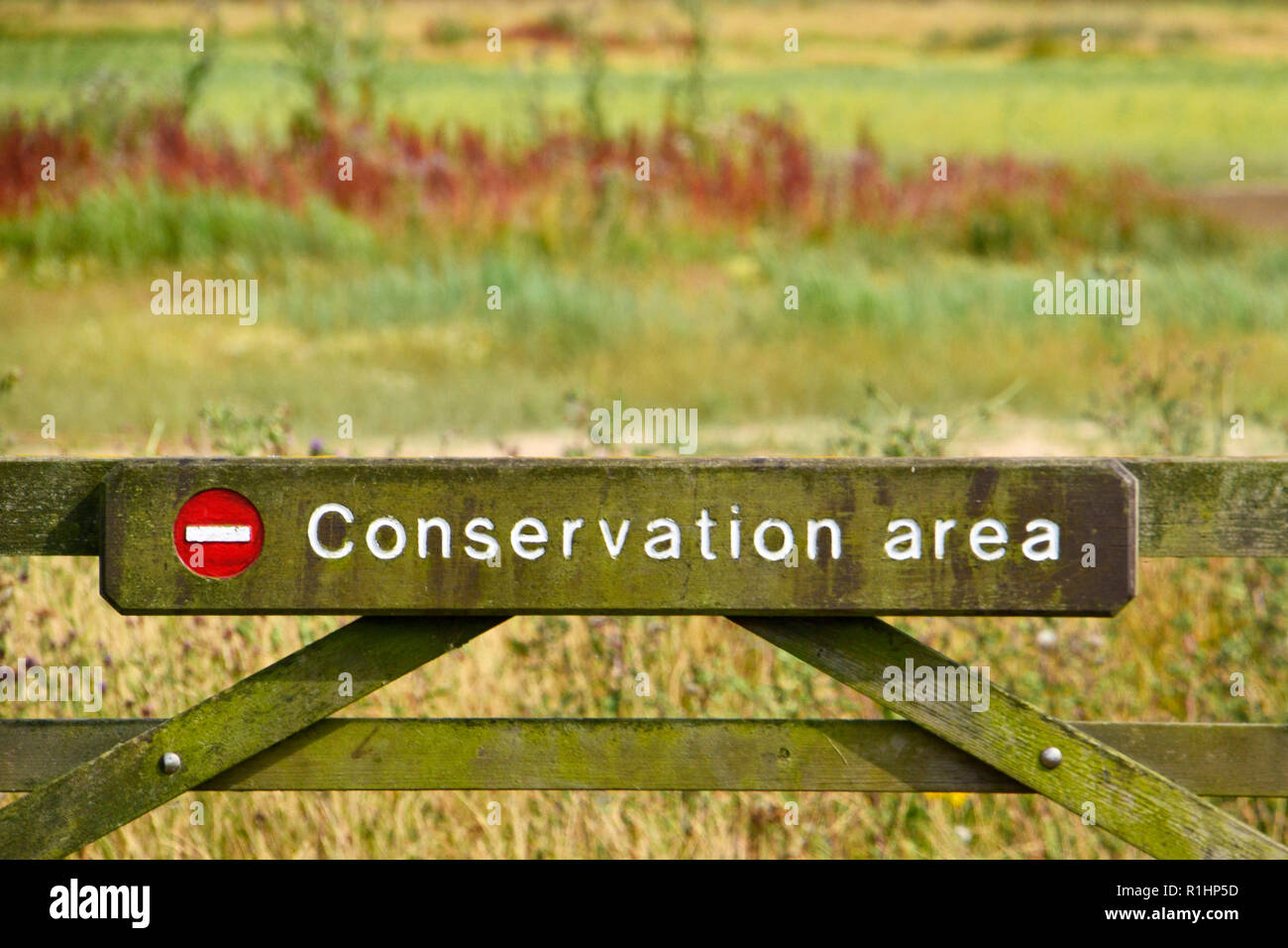 Area di conservazione a RSPB Frampton Marsh Riserva Naturale, Lincolnshire, Inghilterra, Regno Unito. Illustrazione Foto Stock