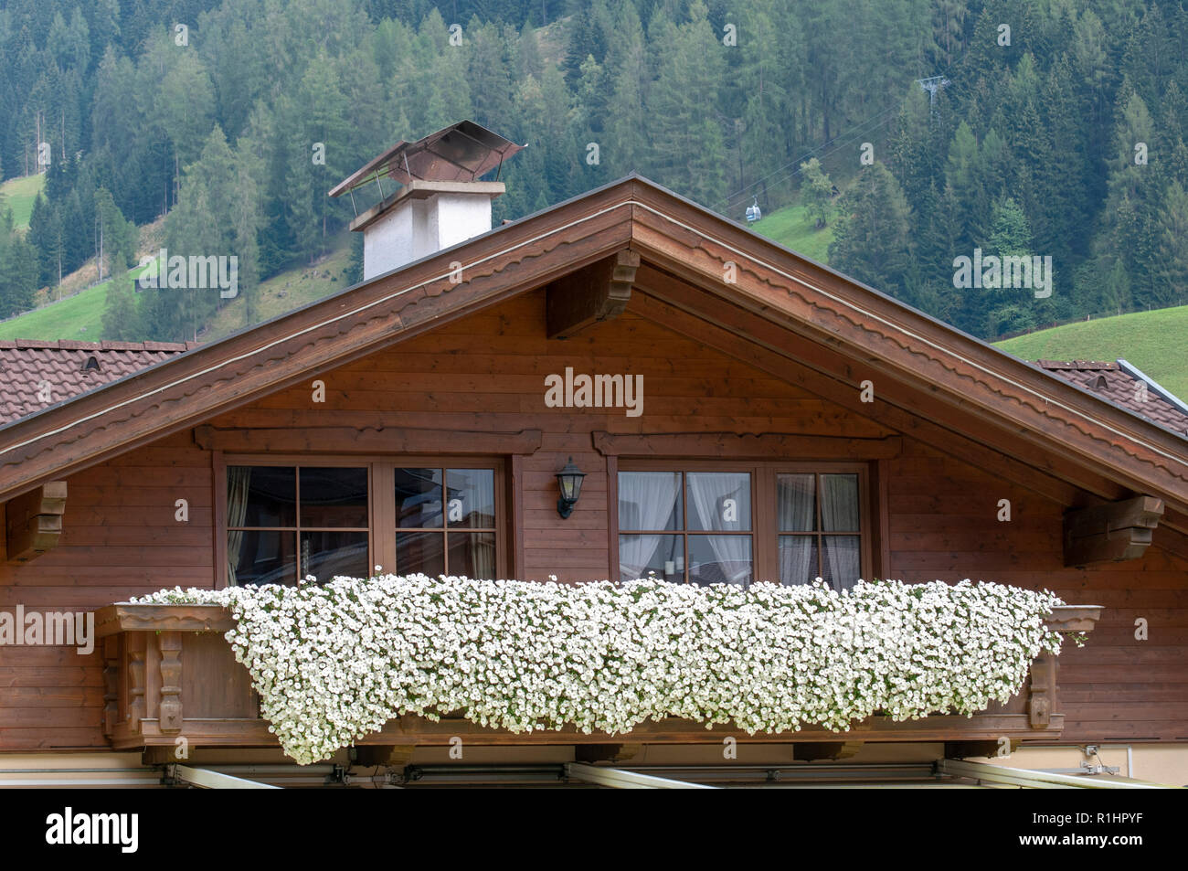 Fiori bianchi in finestre nella facciata di una tipica casa Tirolian. Fotografato a Neustift, Tirolo, Austria Foto Stock