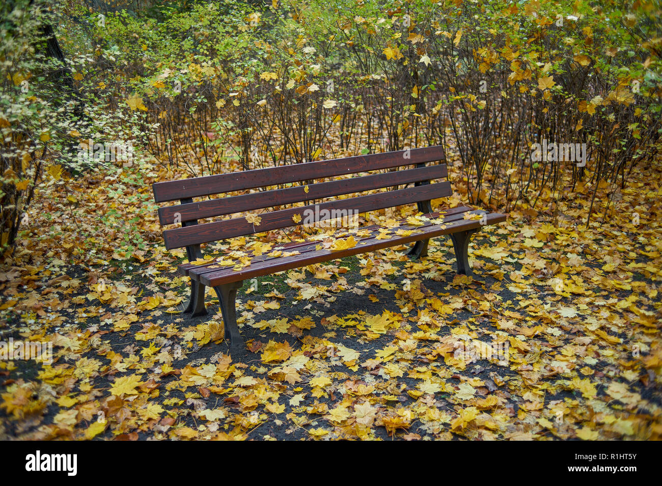 Parco Szczytnicki in autunno Wroclaw Bassa Slesia Polonia Foto Stock