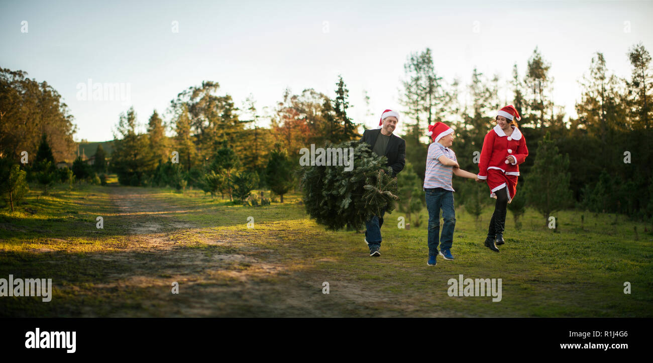 Felice gruppo di persone che porta un albero di Natale. Foto Stock