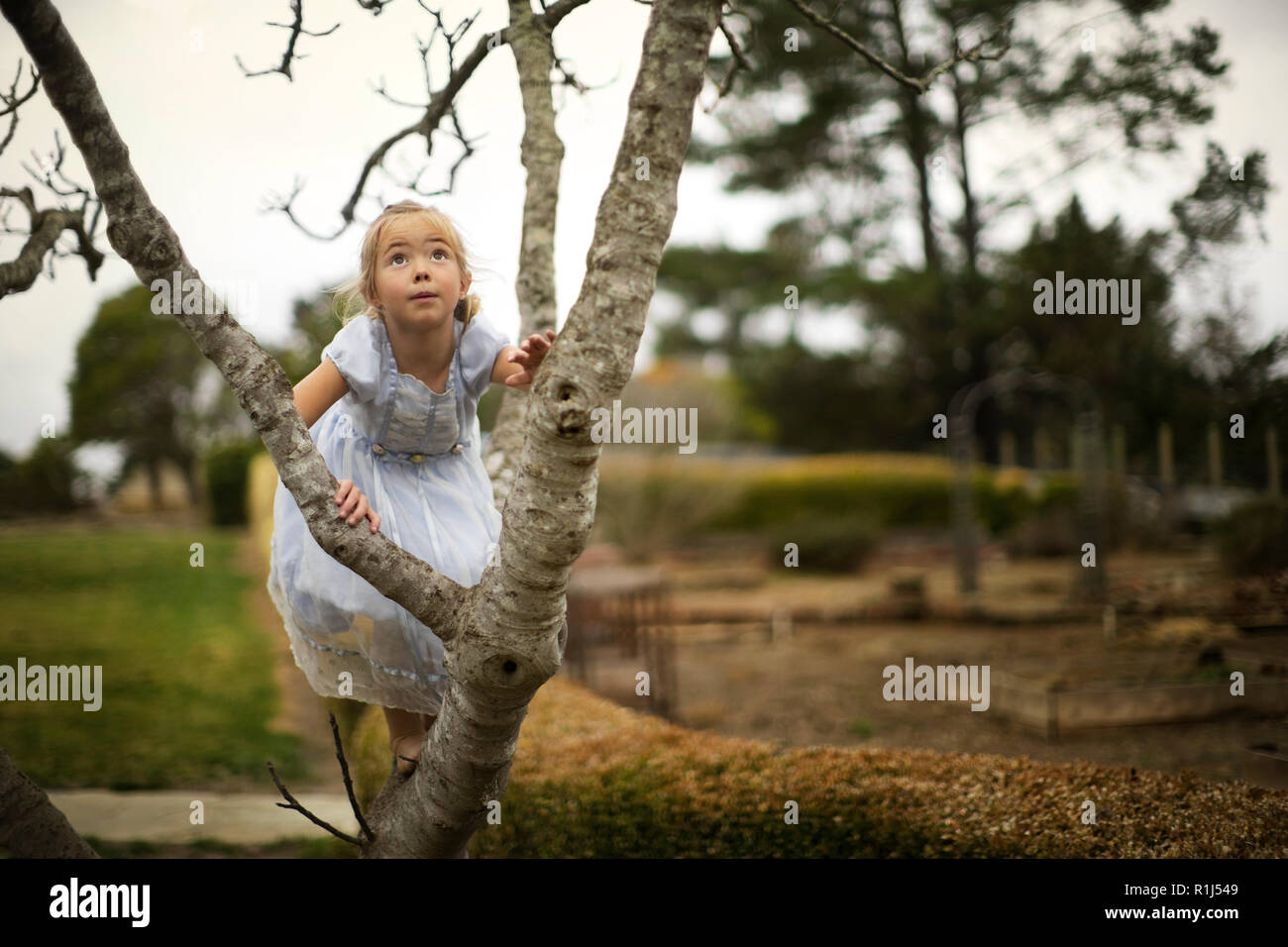 Piccola ragazza in un abito grazioso adventurously si arrampica su un albero nel giardino. Foto Stock