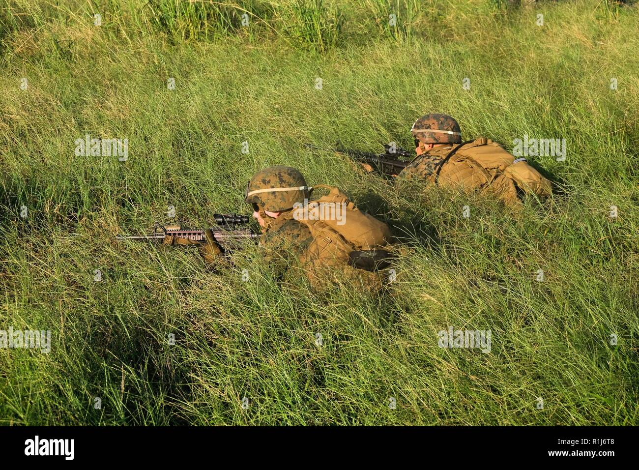 Stati Uniti Marines forniscono sicurezza perimetrale in corrispondenza di una zona di atterraggio a bordo di Camp Lejeune, N.C., il 4 ottobre 2018, durante il comandante di tipo Formazione anfibio. TCAT consente il ventiquattresimo Marine Expeditionary Unit, la loro unità subordinate, e gli Stati Uniti La marina di Iwo Jima anfibio gruppo pronto per provare la Nave a riva e manovra expeditionary il comando e il controllo prima di esercitare la Trident frangente 2018. I marines sono con il Battaglione Team di atterraggio secondo battaglione, 2° Reggimento Marine, attualmente assegnato al ventiquattresimo MEU. Foto Stock