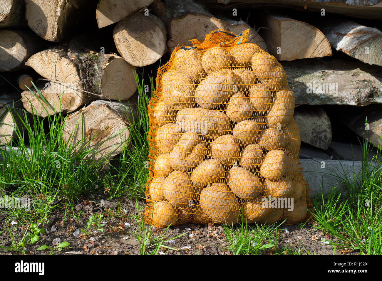 Patate in sacco nei pressi di tronchi di legno in erba Foto Stock