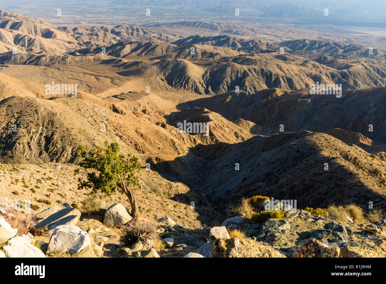 Vista tasti è un si affacciano da cui è possibile visualizzare Coachella Valley e il Deserto di Mohave NEGLI STATI UNITI D' AMERICA, a Joshua Tree National Park, California. Foto Stock