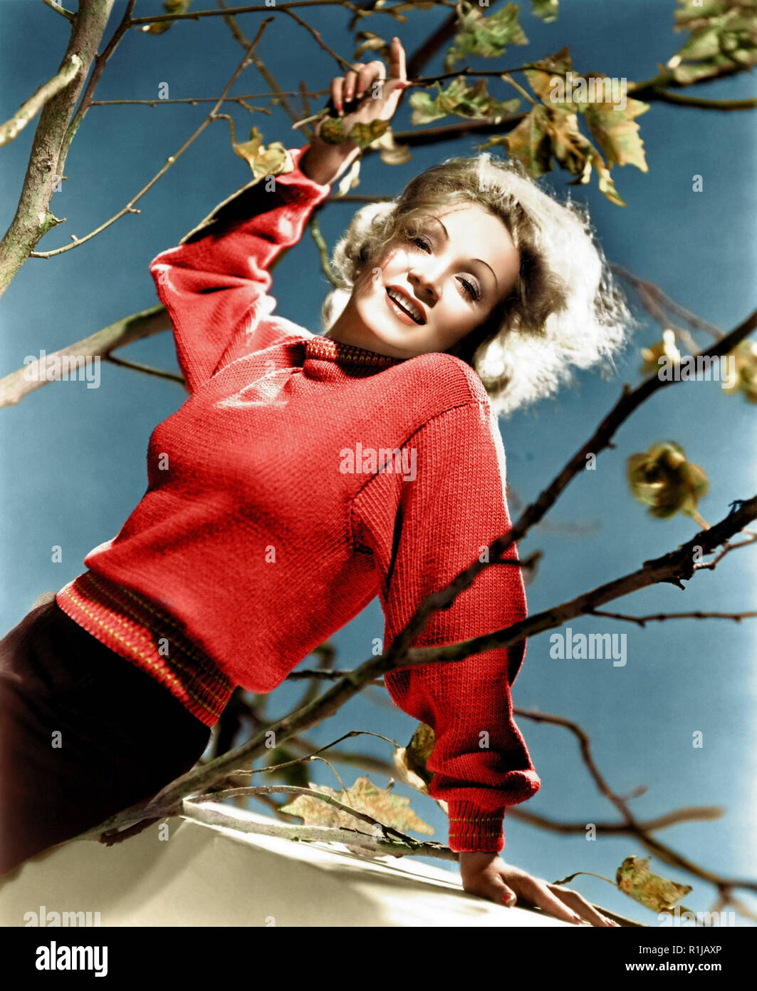 Nel 1920 Berlino, Dietrich ha agito sul palco e in pellicole silenziose. La sua performance come Lola-Lola in Blue Angel (1930) ha portato la sua fama internazionale e un contratto con la Paramount Pictures. Dietrich recitato in film di Hollywood come il Marocco (1930), Shanghai Express (1932), e il desiderio (1936). Ella ha commercializzato con successo sulla sua persona glamour e "esotica" guarda, e divenne uno dei più pagato attrici del SER. Durante la Prima Guerra Mondiale II, ella è stata di alto profilo intrattenitore negli Stati Uniti. Anche se ha fatto ancora occasionali di film dopo la guerra, Dietrich ha trascorso la maggior parte degli anni cinquanta a 1 Foto Stock