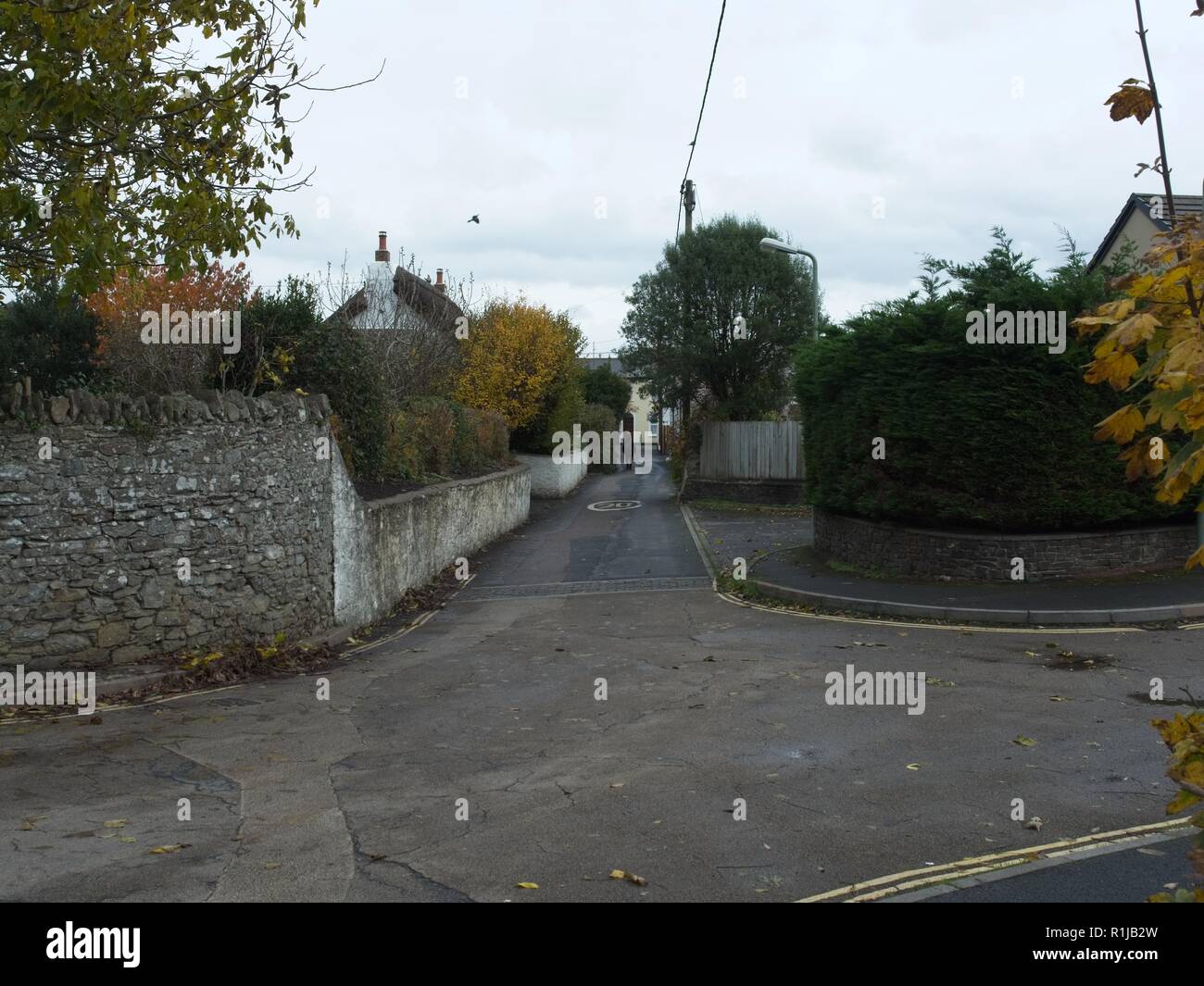 Braunton un villaggio Inglese in North Devon Regno Unito Foto Stock
