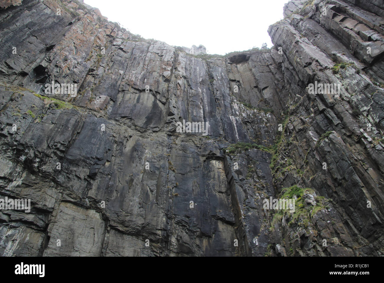 Parete di roccia bruny island Mare di Tasman Foto Stock