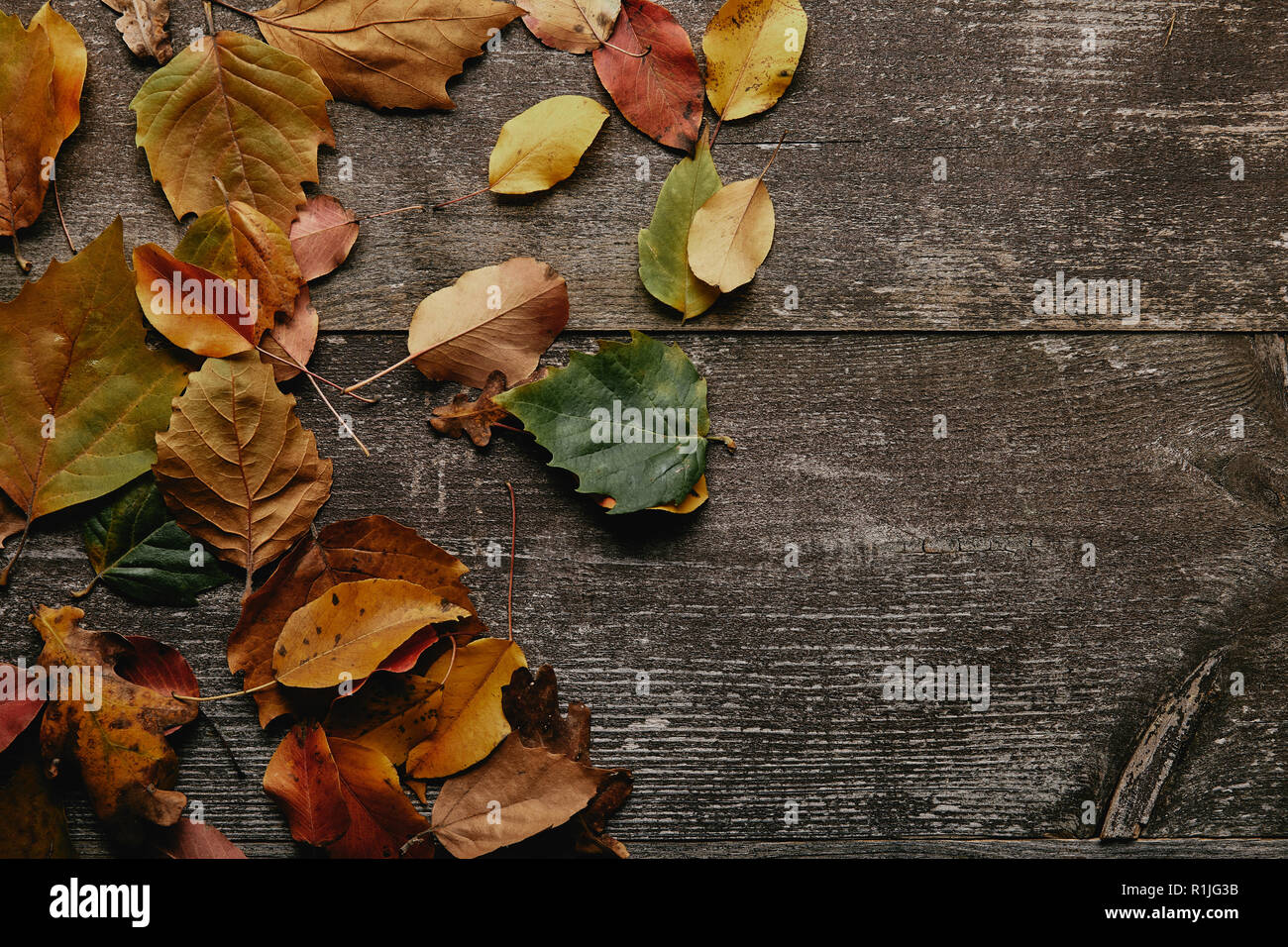 Lay piatto con colorate foglie cadute su una superficie di legno Foto Stock