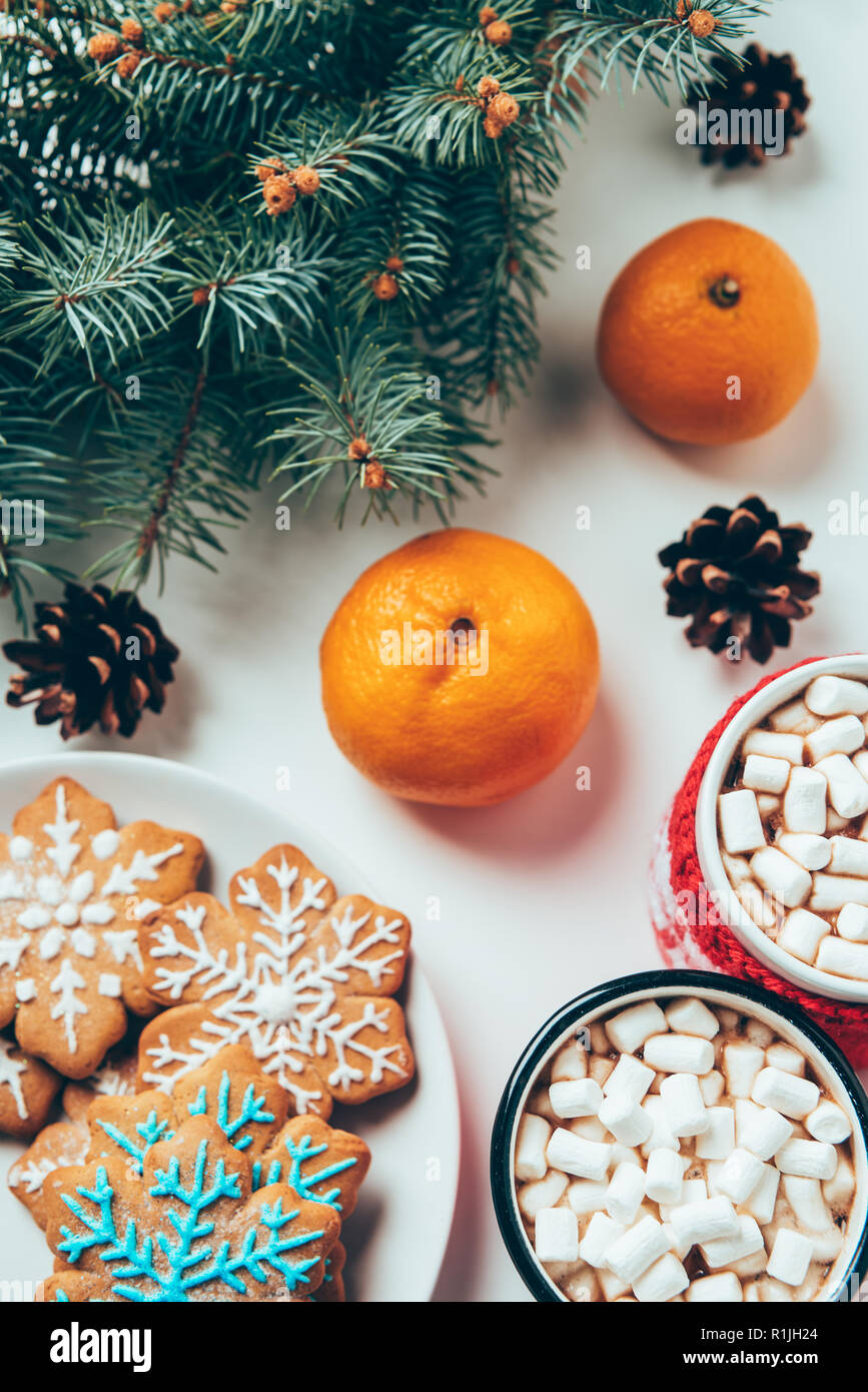 Vista dall'alto di tazze di cioccolata calda con marshmallows, tangerini, cookie e pino rami sulla superficie bianca, natale colazione concept Foto Stock
