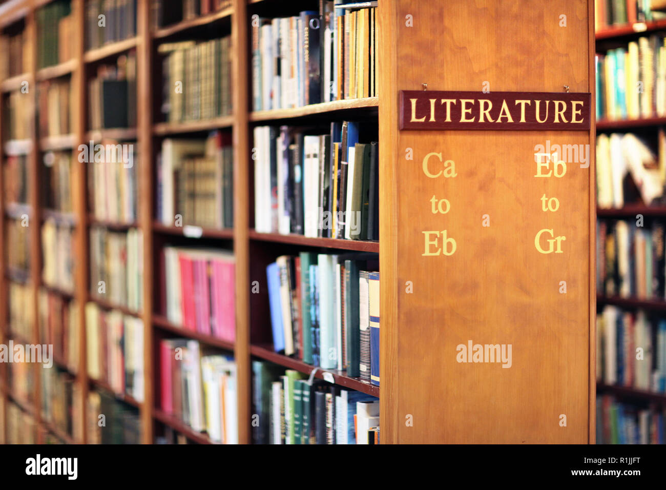 Biblioteca con libri sullo scaffale concetto di letteratura Foto Stock