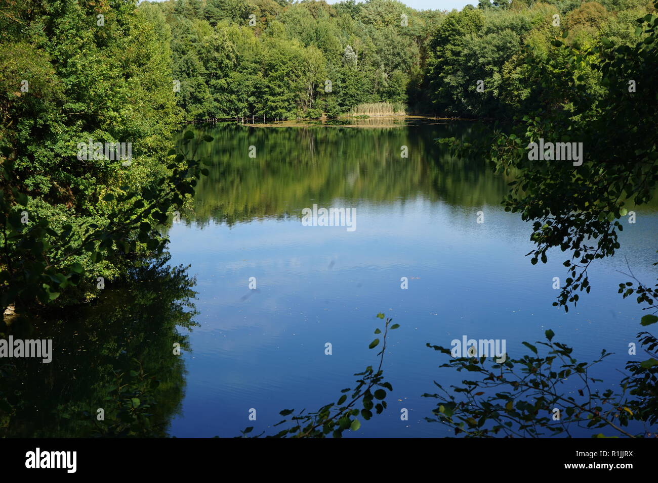 Area di Conservazione Steinbrueche Dietesheimer, Dietesheim Foto Stock