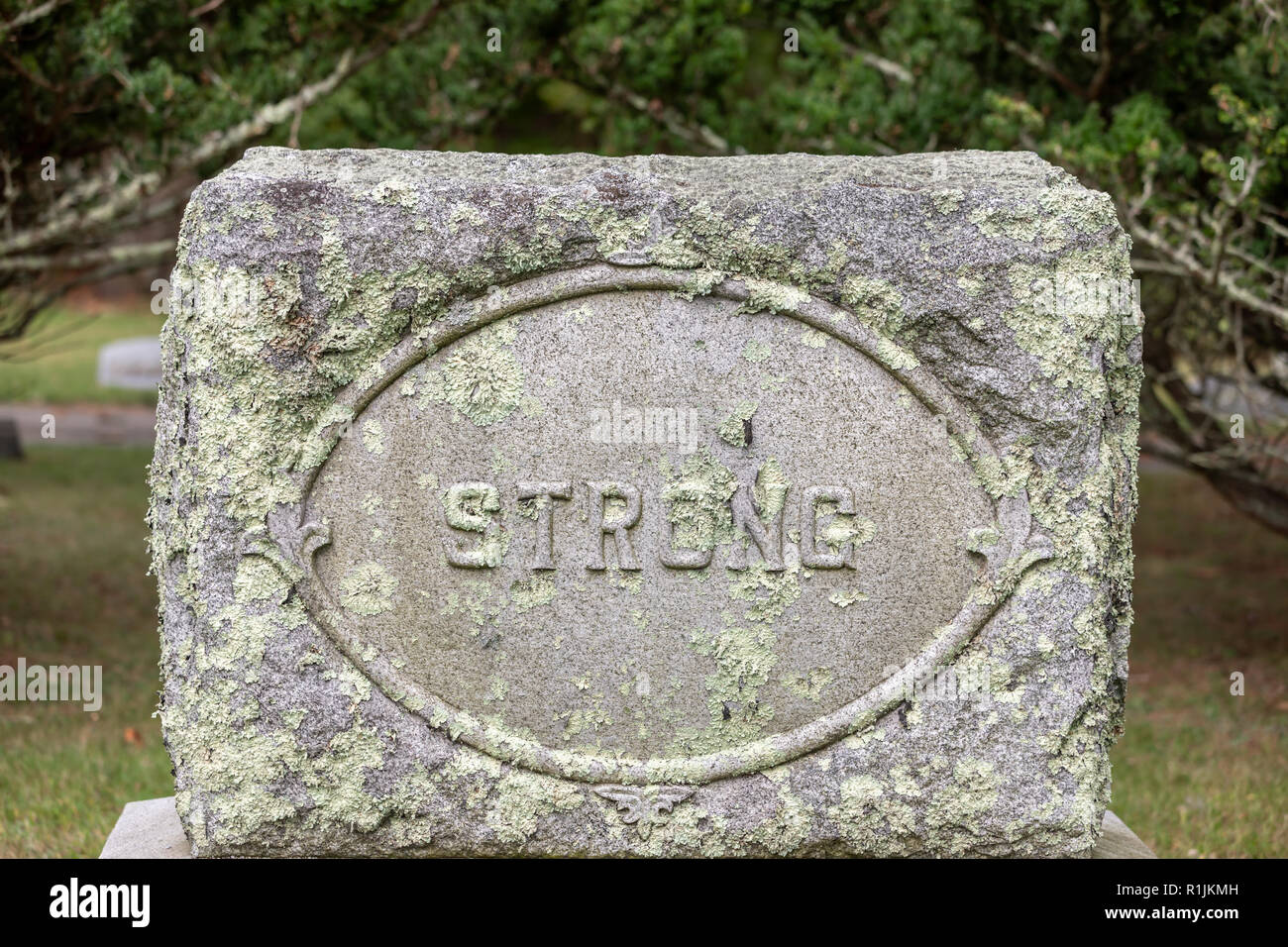 Testa spiovente di pietra con il cognome forte Foto Stock