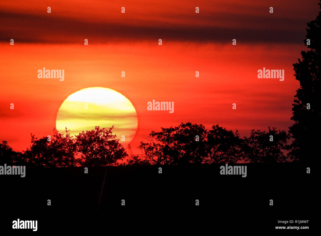 Splendido tramonto rosso sugli alberi con sole piatto Foto Stock
