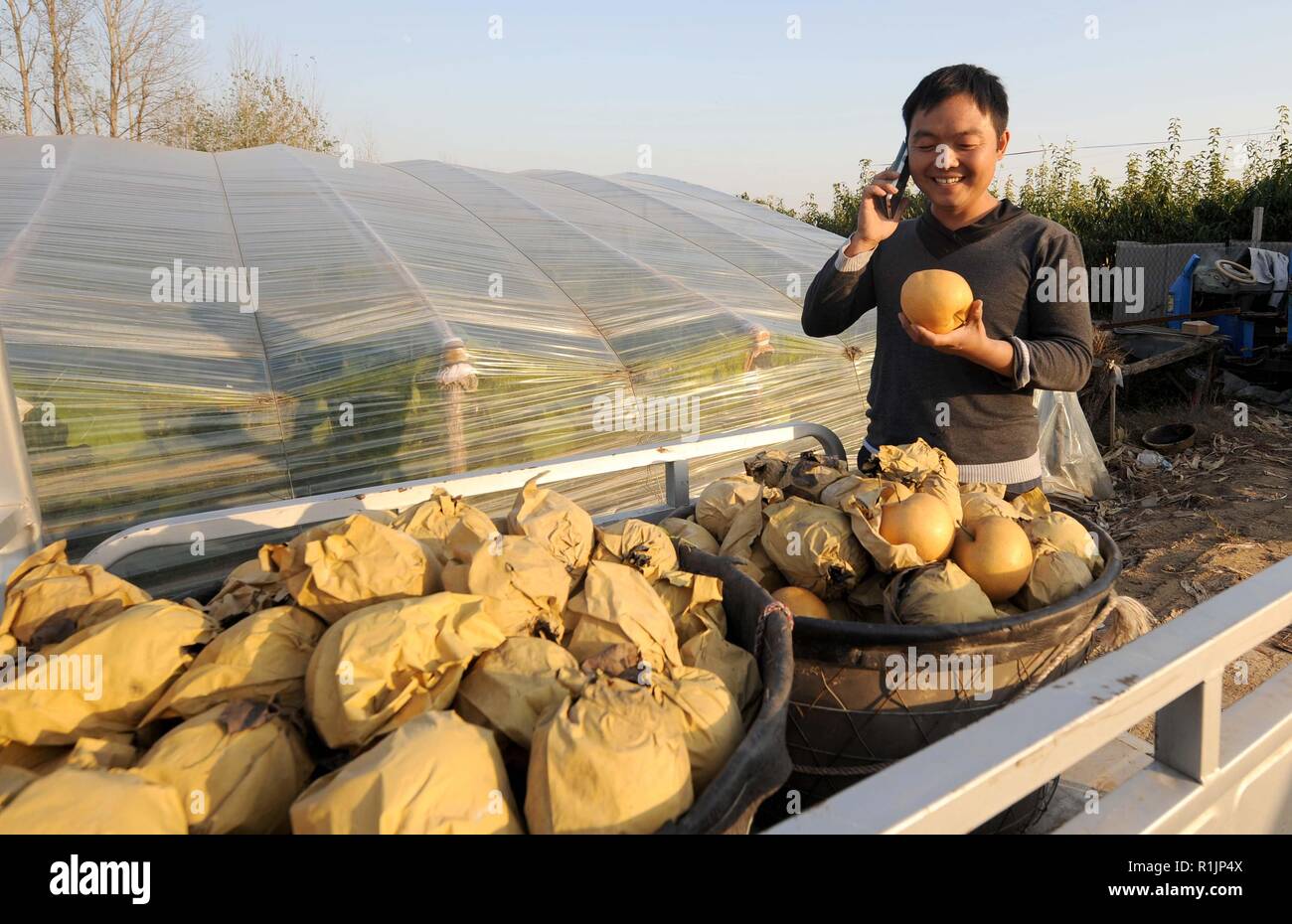 (181113) -- PECHINO, nov. 13, 2018 (Xinhua) -- Wang Fei, un 'professional' agricoltore, riceve una chiamata da acquirente presso la sua azienda a conduzione familiare in Cina centrale della Provincia di Henan, nov. 4, 2014. Più di quattro decenni di una sana crescita economica dal 1978, anno di inizio della riforma e apertura politica, ha fondamentalmente sollevato la qualità di vita di 1,3 miliardi di cinesi che sono ora in grado di godere del 'villaggio globale' grazie alle avanzate infrastrutture telecom. Tuttavia, il popolo cinese anche mai andati attraverso il tempo durante la scrittura di lettere è stato il più frequente e mezzi di contatto con parenti lontani, quando sen Foto Stock