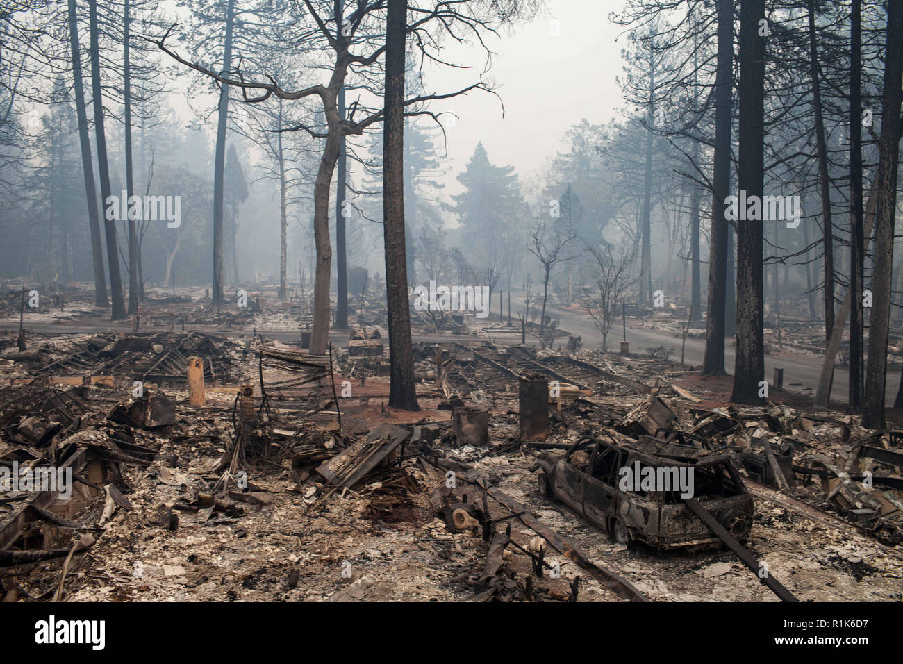 Paradise, California, Stati Uniti d'America. Xiii Nov, 2018. Un quartiere residenziale è bruciato alle ceneri dopo il campeggio antincendio strappato attraverso il Paradiso. Con 42 persone confermato morto, campo di fuoco è il più mortale blaze in la storia della California. Credito: Joel Angelo Juarez/ZUMA filo/Alamy Live News Foto Stock