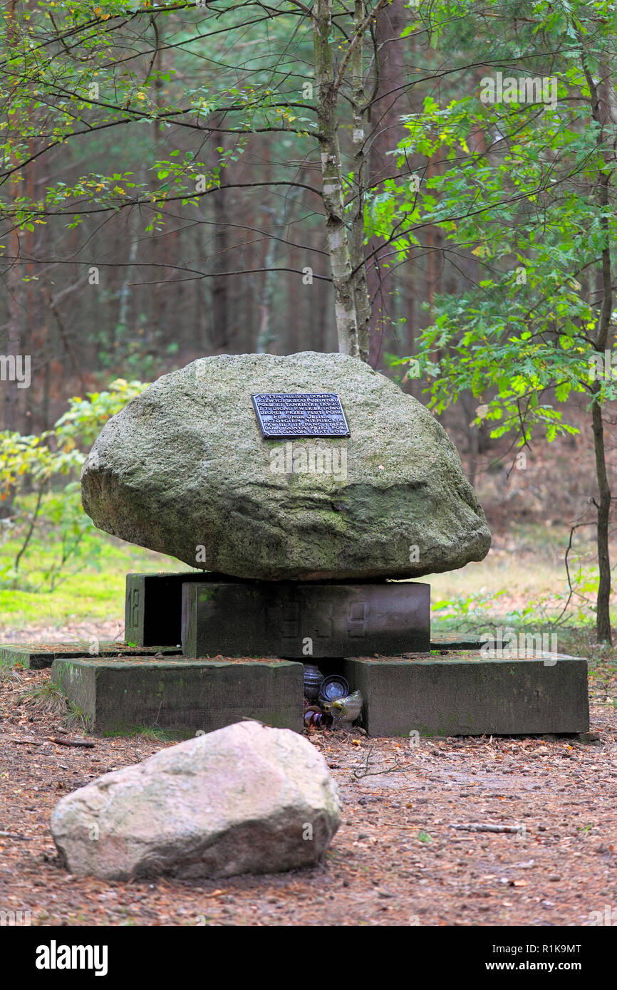 Palmiry, Mazovia / Polonia - 2009/01/11: monumento storico della II Guerra Mondiale armor battaglia dal 1939 nell'Kampinoski Parco Nazionale di foresta. Foto Stock