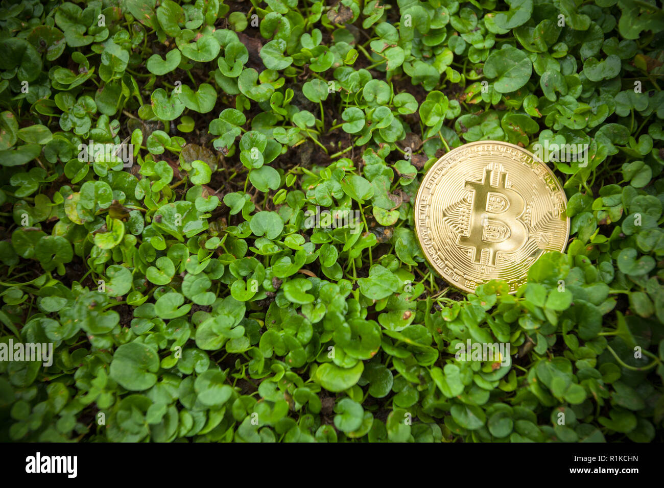 Criptocurrency consumo energetico sustainnability Foto Stock