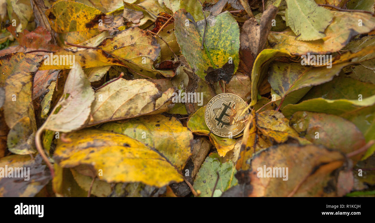 Criptocurrency consumo energetico sustainnability Foto Stock